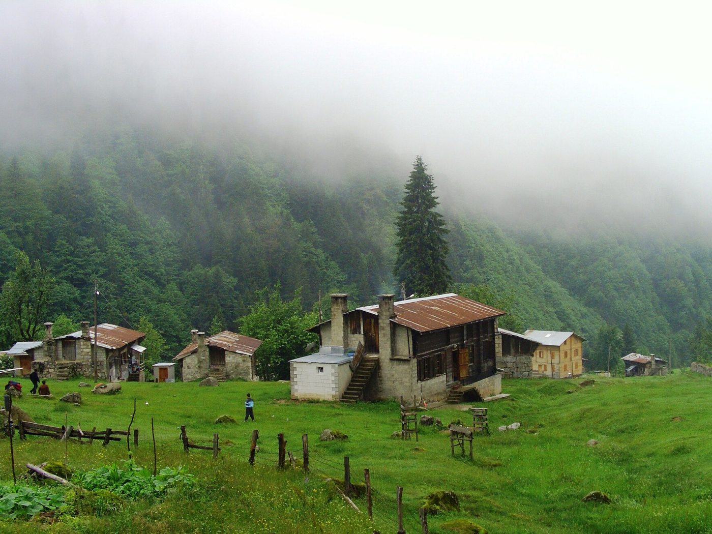 Karadeniz Yaylaları destinasyon görseli